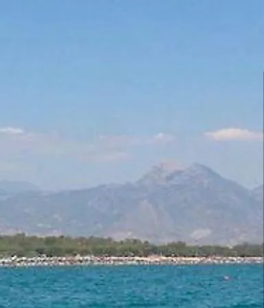 Anna Отель типа 